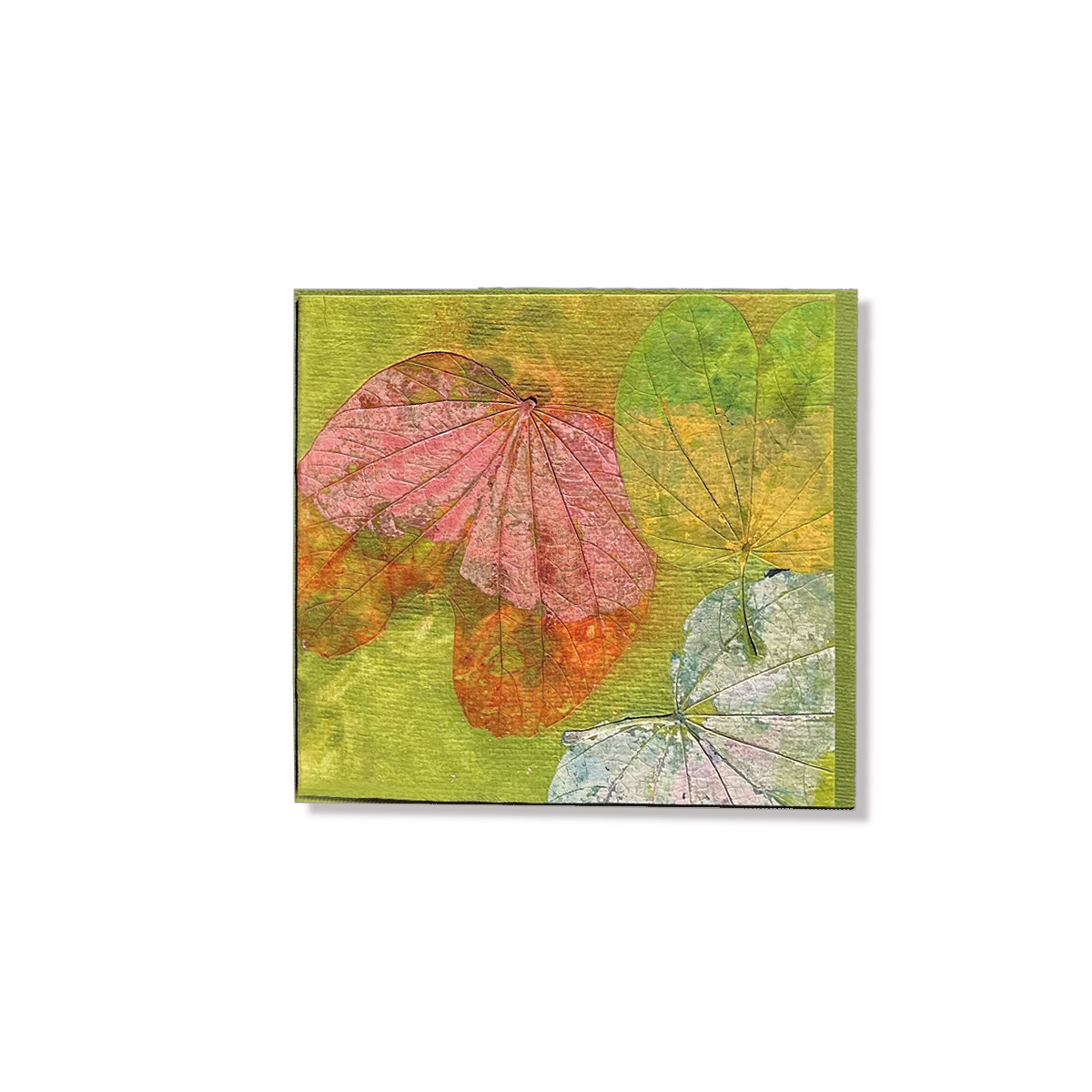 CA01Y-gr Grußkarte Sunset Grün