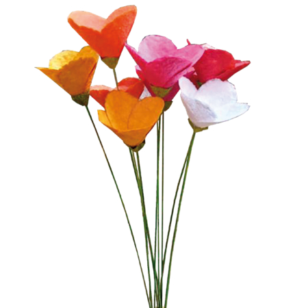 FL24-be Dekoblumen-Beauty