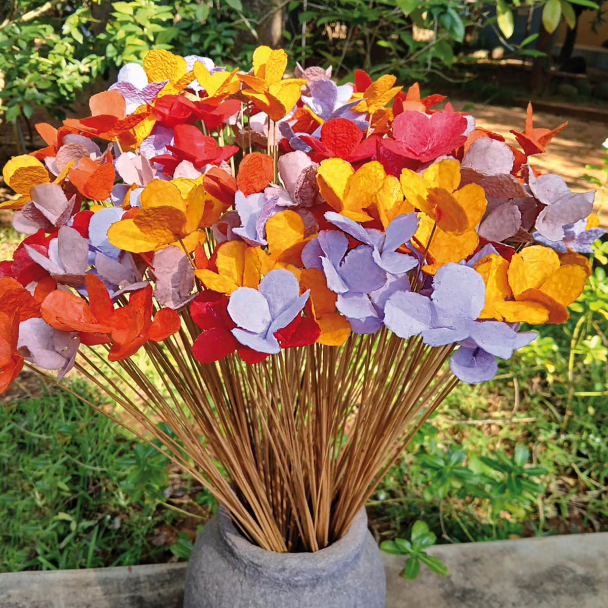 FL28-mo Daisy Morning