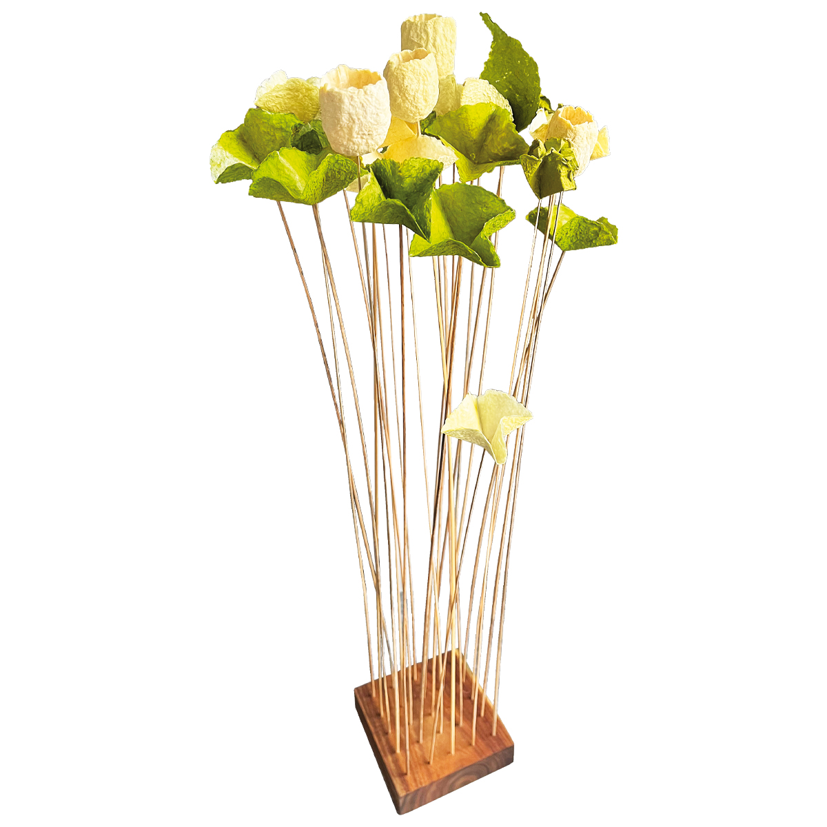 FL50-69-sp Butterfly Kelche Spring