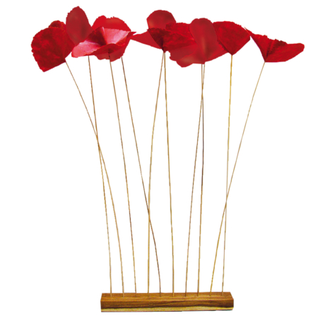 FL54-ro_ Lotus flower Rot