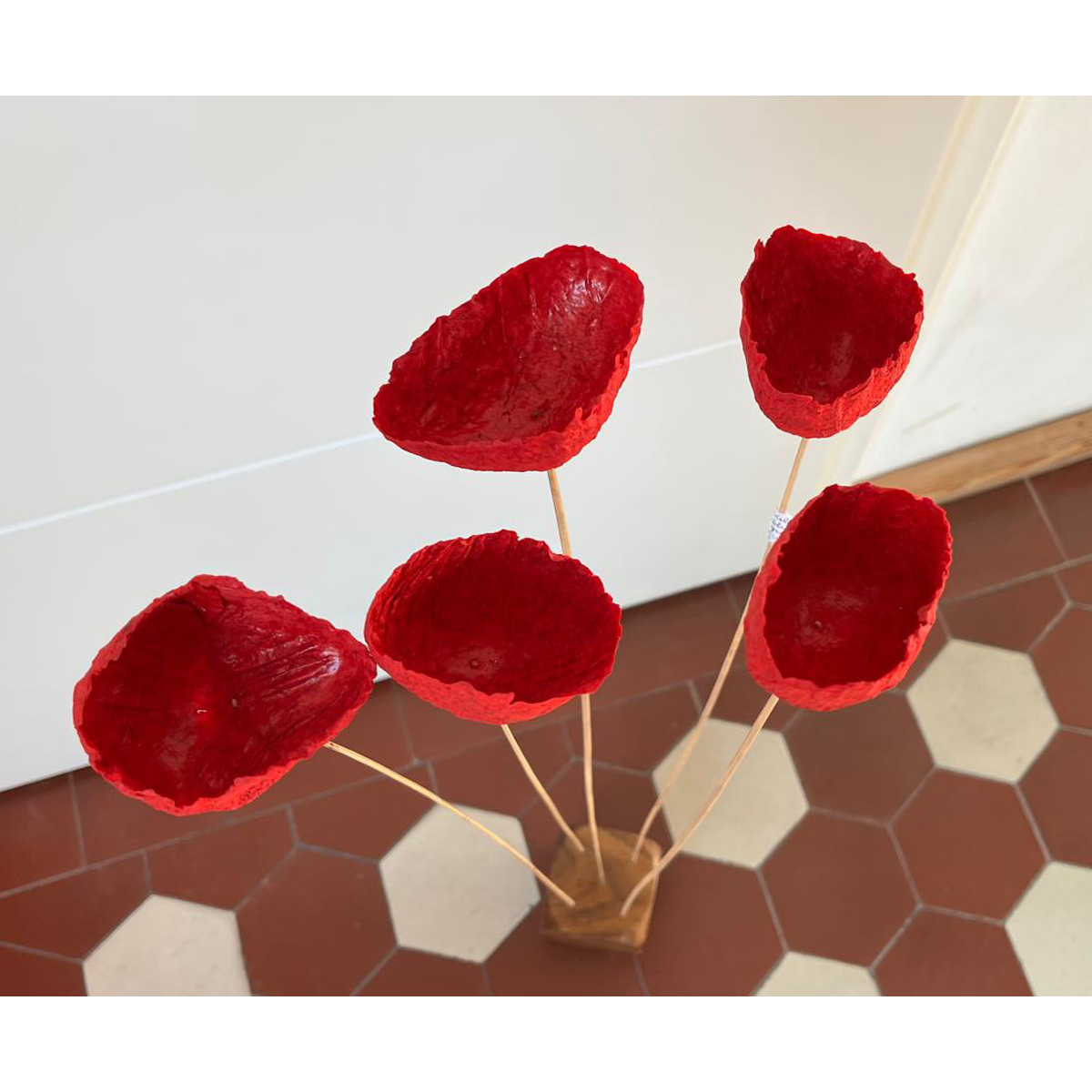 FL78-ro Kelchblume Rot