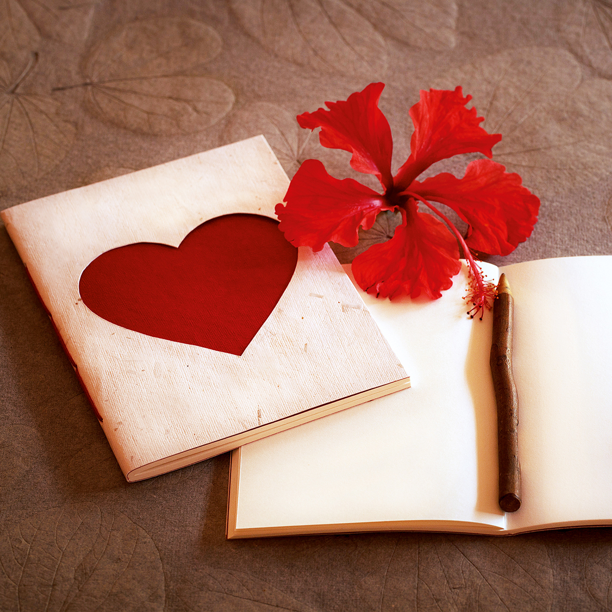 NB166HT Notizbuch From the Heart gross