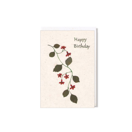 PU481a Happy birthday Ranke