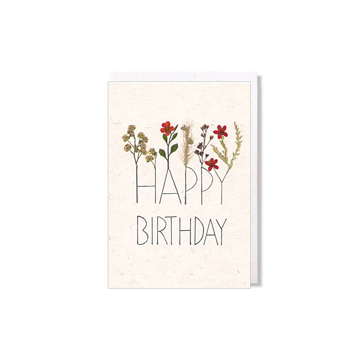 PU483b_Happy_birthday