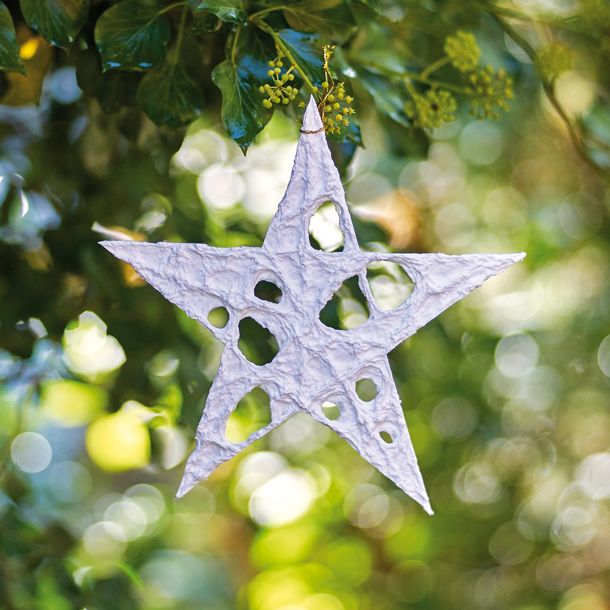 ST01-wh_grosser_Stern_Weiss