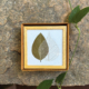 DD4-na Untersetzer Blätter Natur-Gold