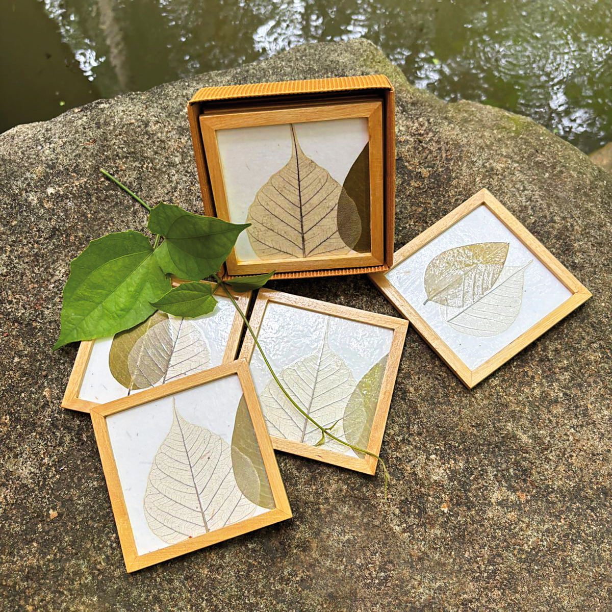 DD4-na Untersetzer Blätter Natur-Gold