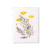 Notizbuch-hand-painted_H07-E_Gelbe-Blueten Notizbuch-hand-painted_H07-E_Gelbe-Blueten