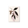 PU425a_Grusskarte_Hand-painted_zarte-haengende-rosa_Blueten PU425a_Grusskarte_Hand-painted_zarte-haengende-rosa_Blueten