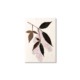 PU425a_Grusskarte_Hand-painted_zarte-haengende-rosa_Blueten