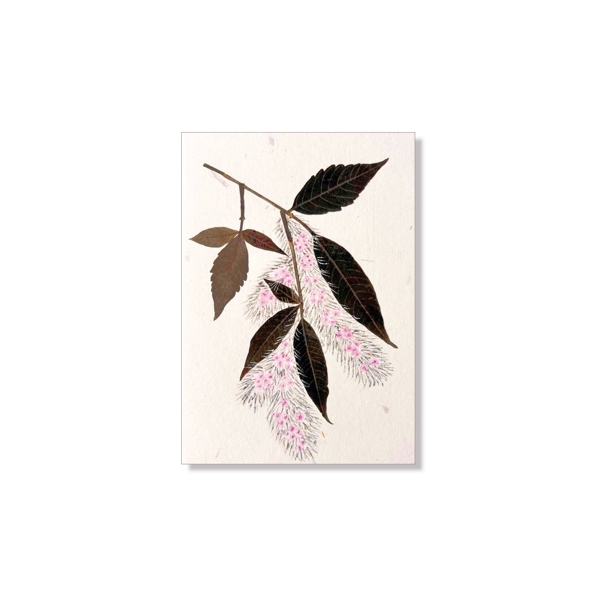 PU425a_Grusskarte_Hand-painted_zarte-haengende-rosa_Blueten PU425a_Grusskarte_Hand-painted_zarte-haengende-rosa_Blueten