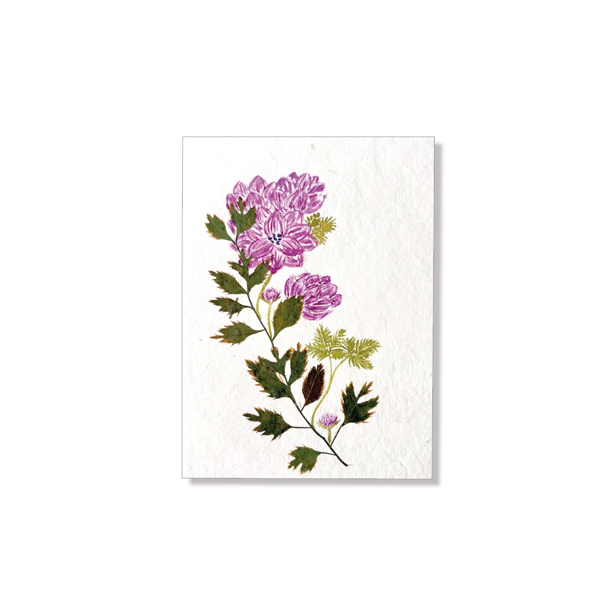 PU425c_Grusskarte_Hand-painted_dunkelviolette-Blueten PU425c_Grusskarte_Hand-painted_dunkelviolette-Blueten