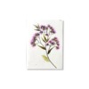 PU425e_Grusskarte_Hand-painted-Bluetendolden-Pink