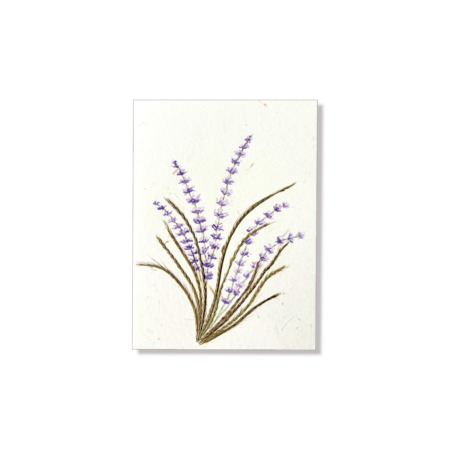 PU425f_Grusskarte_Hand-painted_Lavendel