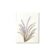 PU425f_Grusskarte_Hand-painted_Lavendel
