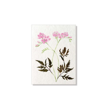 PU425g_Grusskarte_Hand-painted_rosa_Blueten