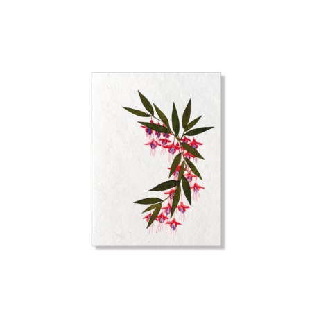 PU425h_Grusskarte_Hand-painted_Fuxia