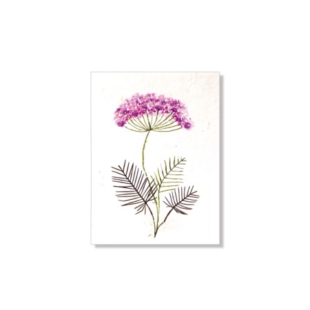 PU425i_Grusskarte_Hand-painted_Dolde-violett