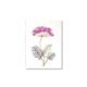 PU425i_Grusskarte_Hand-painted_Dolde-violett