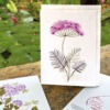 PU425i_Grusskarte_Hand-painted_Dolde-violett2 PU425i_Grusskarte_Hand-painted_Dolde-violett