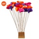 FL50-fio_Butterfly-Mix_Fiori_mit-Button